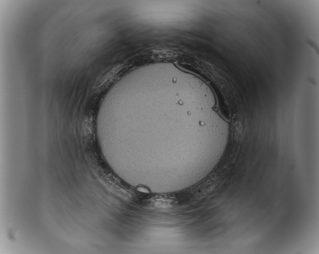 X0000100390756200806271357