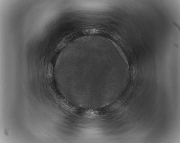 X0000100390760200806271357