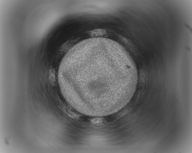 X0000100390761200806271357