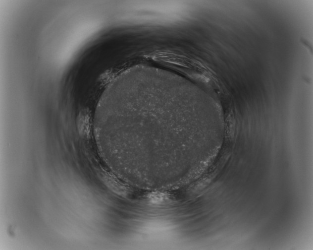 X0000100390762200806271357