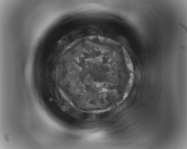 X0000100390765200806271357