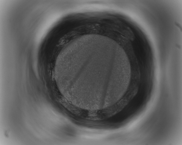 X0000100390766200806271357