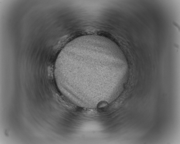 X0000100390768200806271357