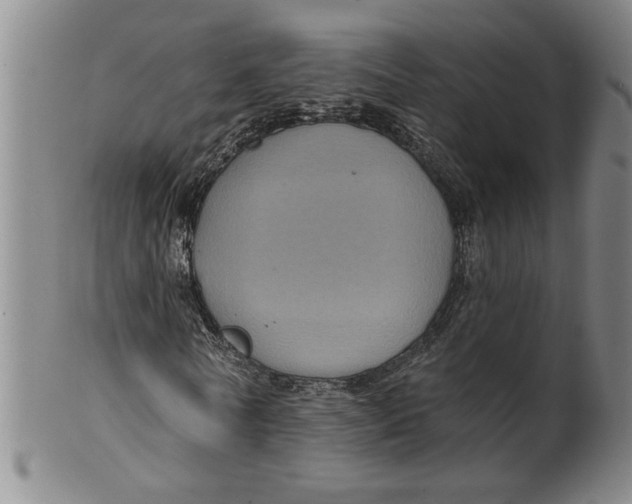 X0000100390770200806271356