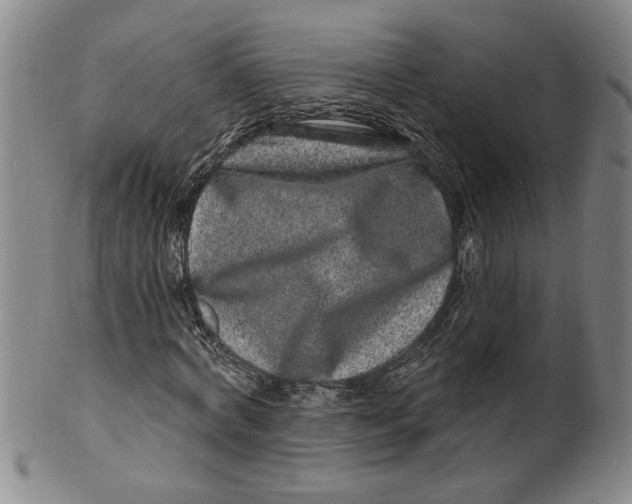 X0000100390772200806271356