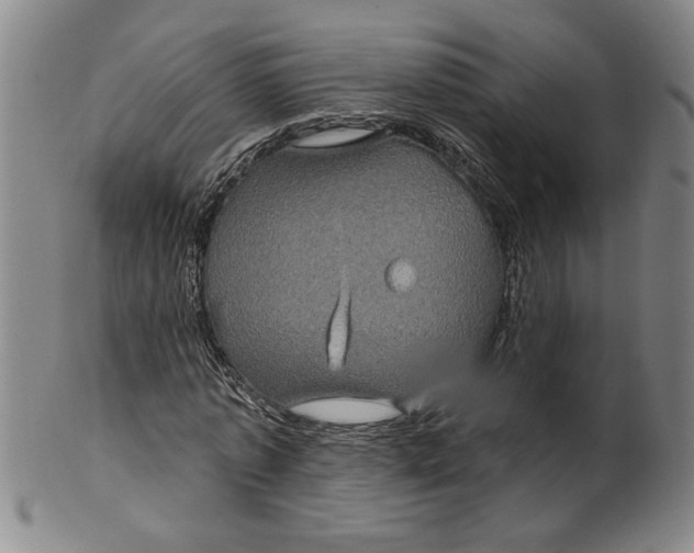 X0000100390773200806271356