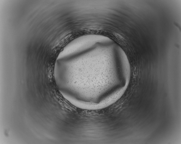 X0000100390774200806271356