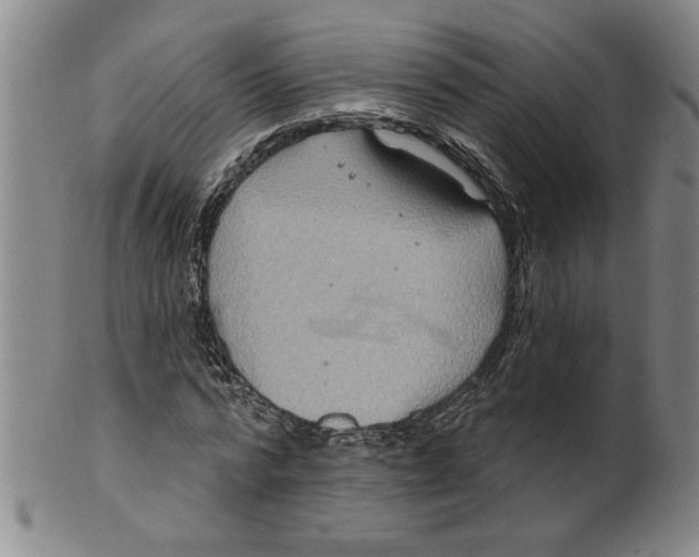 X0000100390776200806271356