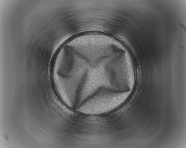 X0000100390780200806271356