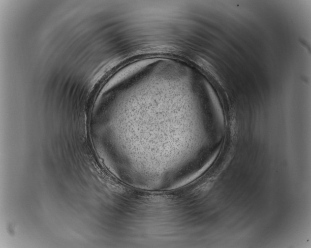 X0000100390781200806271356