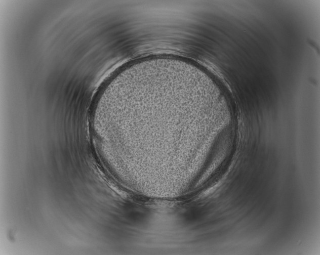 X0000100390782200806271356