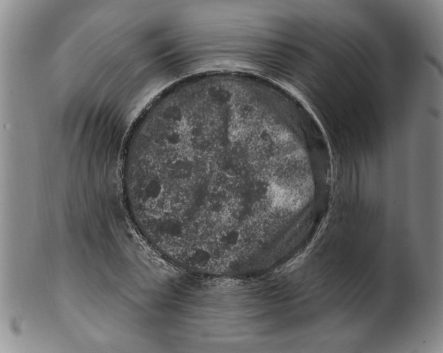 X0000100390783200806271356