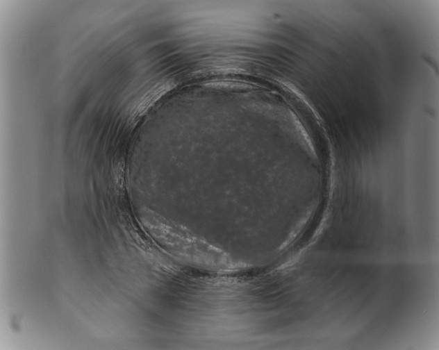 X0000100390785200806271356