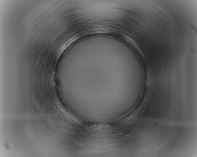 X0000100390786200806271356