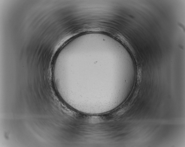 X0000100390787200806271356