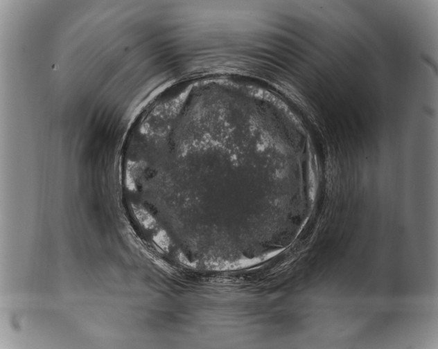 X0000100390790200806271356