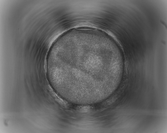 X0000100390791200806271356