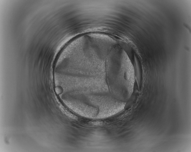 X0000100390792200806271356