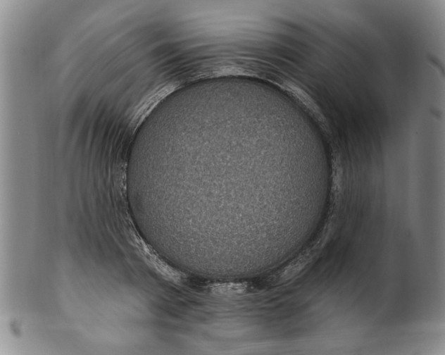 X0000100390793200806271356