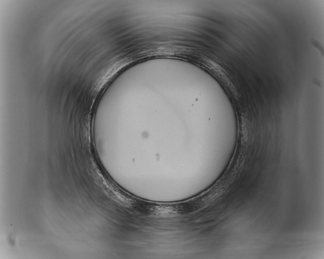 X0000100390794200806271356