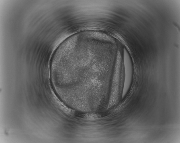 X0000100390795200806271356