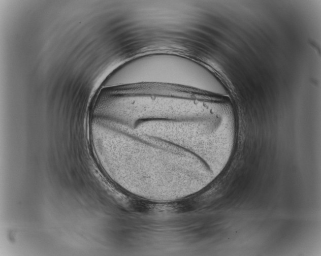 X0000100390796200806271356