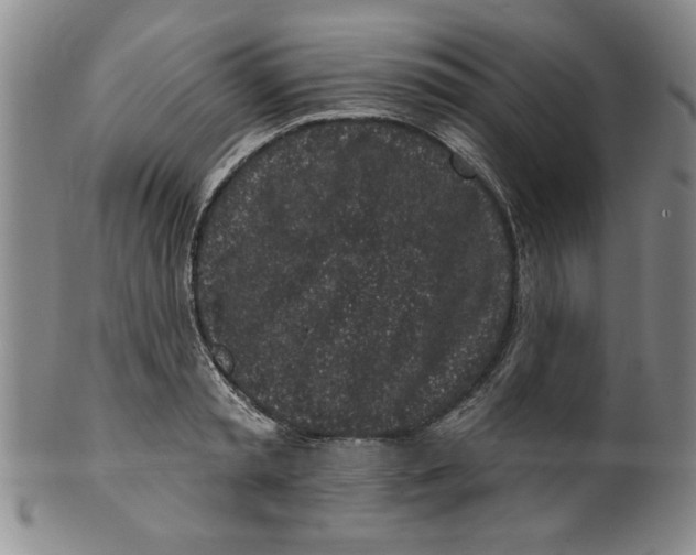 X0000100390797200806271356