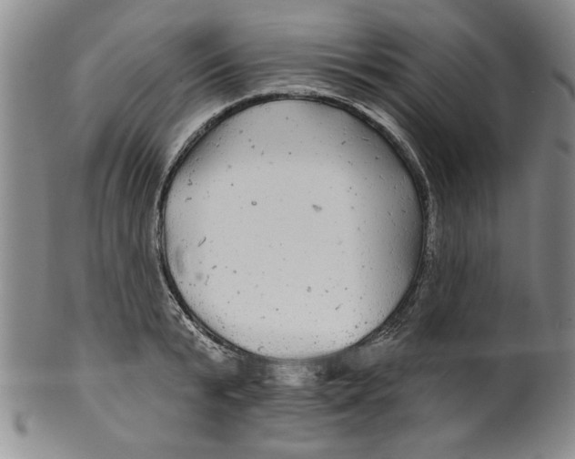 X0000100390799200806271356