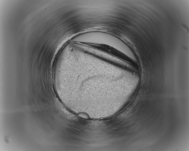 X0000100390800200806271356