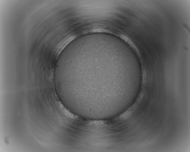 X0000100390801200806271356