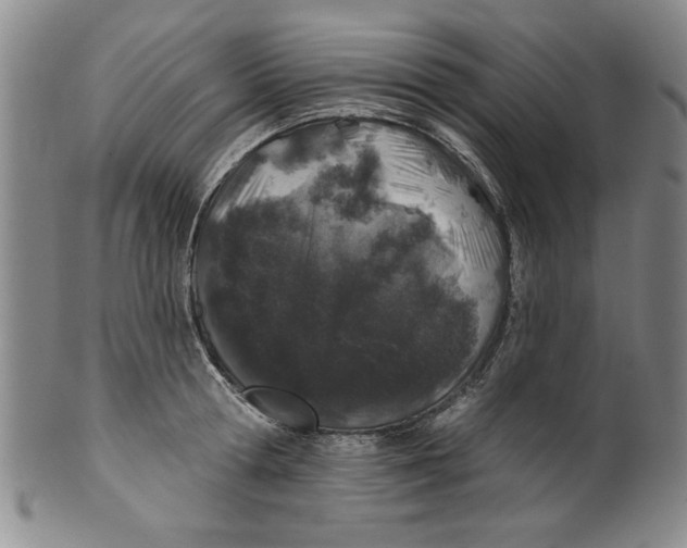 X0000100390802200806271356