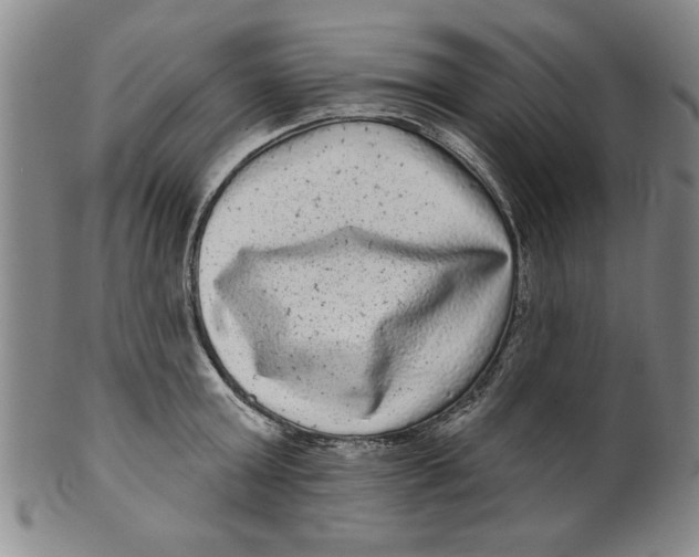 X0000100390803200806271356