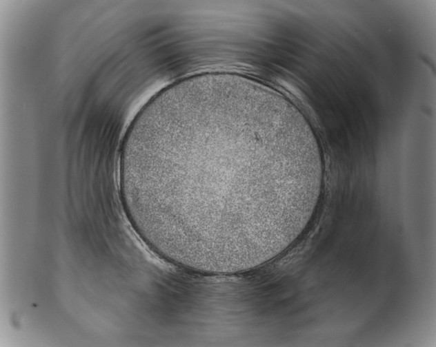 X0000100390804200806271356