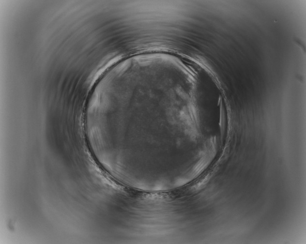 X0000100390806200806271356