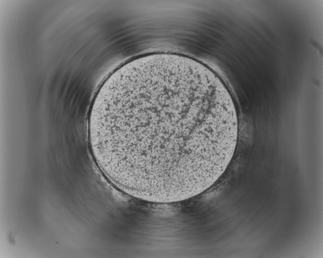 X0000100390807200806271356