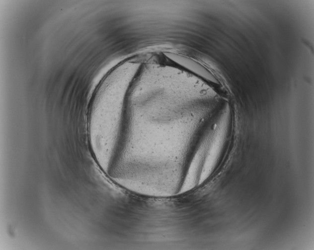 X0000100390808200806271356