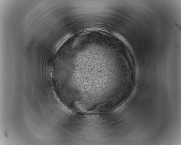 X0000100390809200806271356