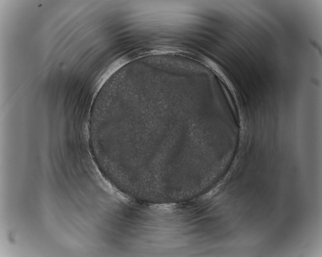 X0000100390810200806271356