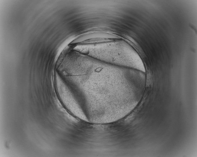 X0000100390812200806271356