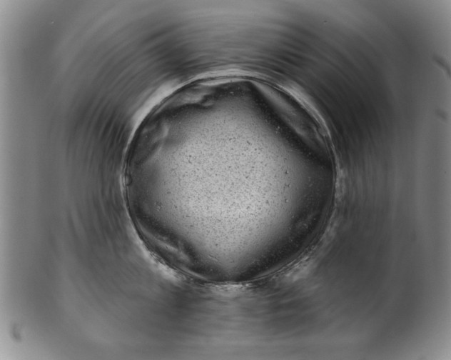 X0000100390813200806271356