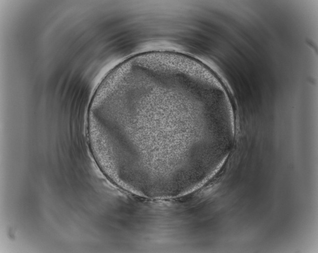 X0000100390815200806271356