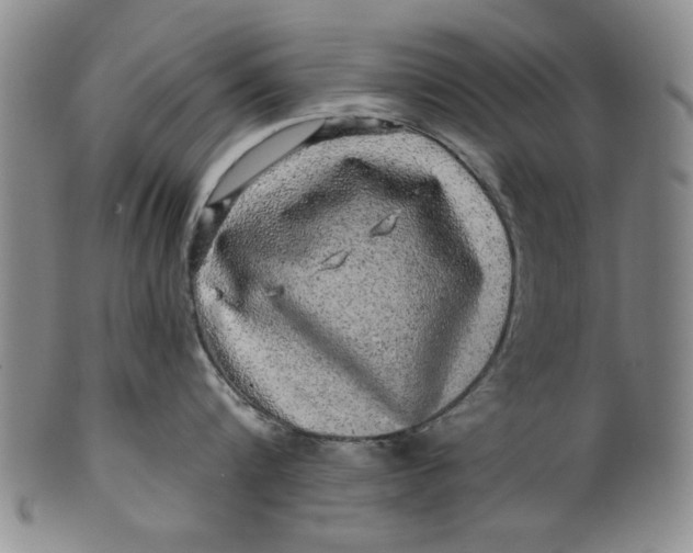 X0000100390816200806271356