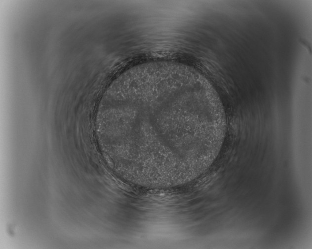 X0000100390817200806271355