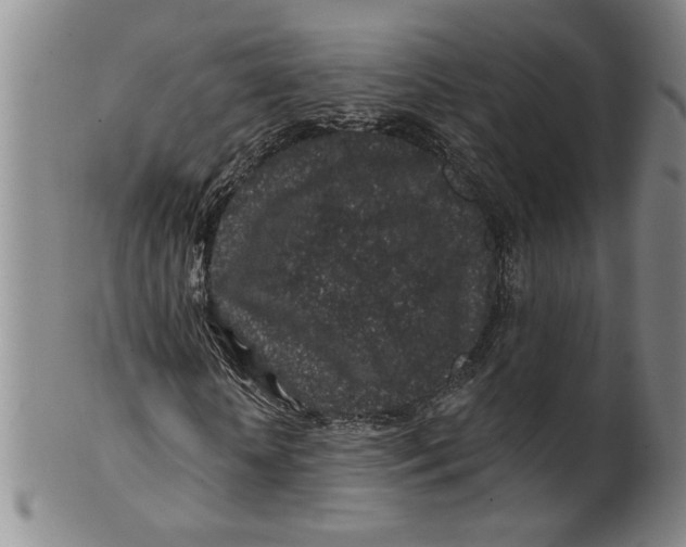 X0000100390818200806271355