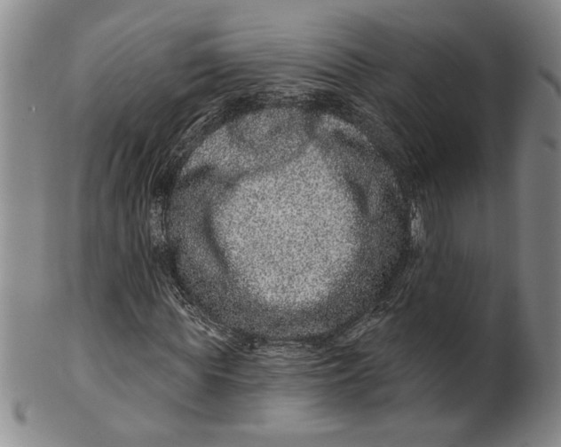 X0000100390819200806271355