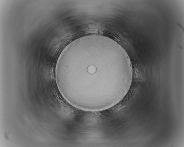 X0000100390820200806271355