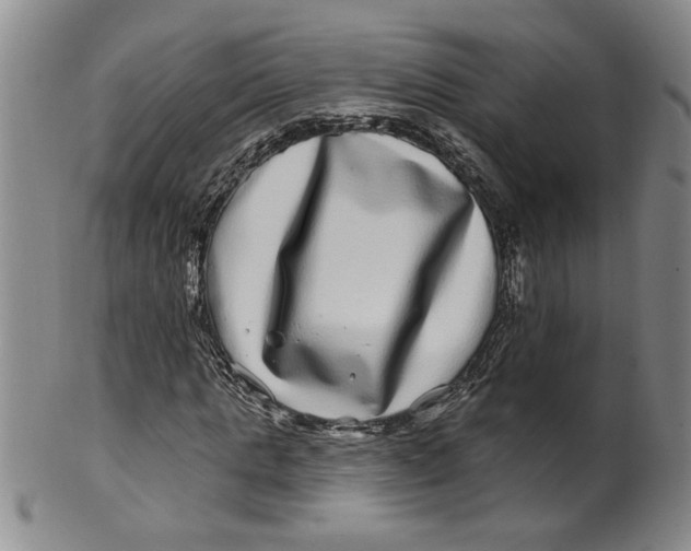 X0000100390821200806271355