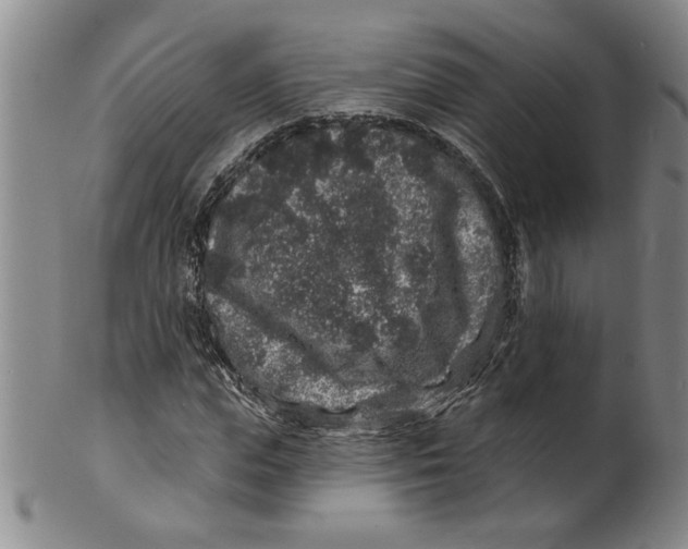 X0000100390823200806271355