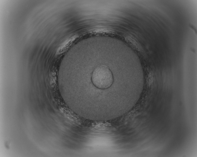 X0000100390824200806271355