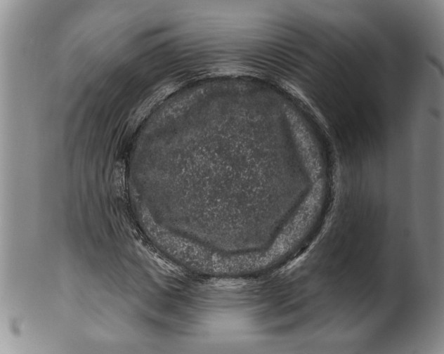 X0000100390825200806271355